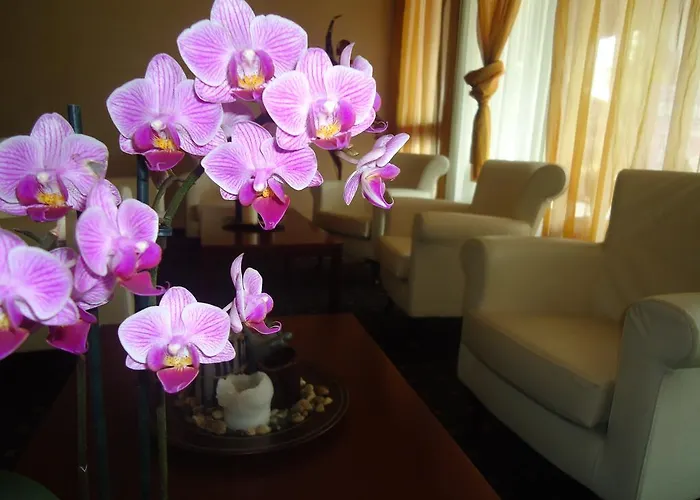 Ch Giada Hotel Arese